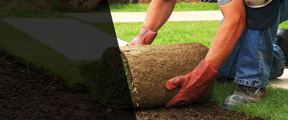 Stratford Landscapers